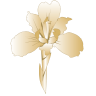 Logo IRIS programa