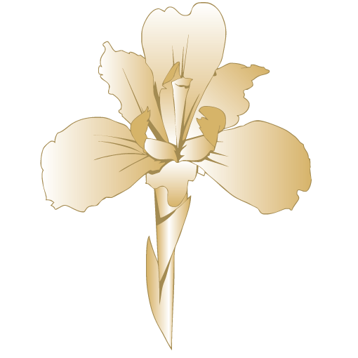 IRIS Online logo